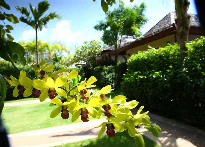 Pai Tan Villas - Sha Extra Plus